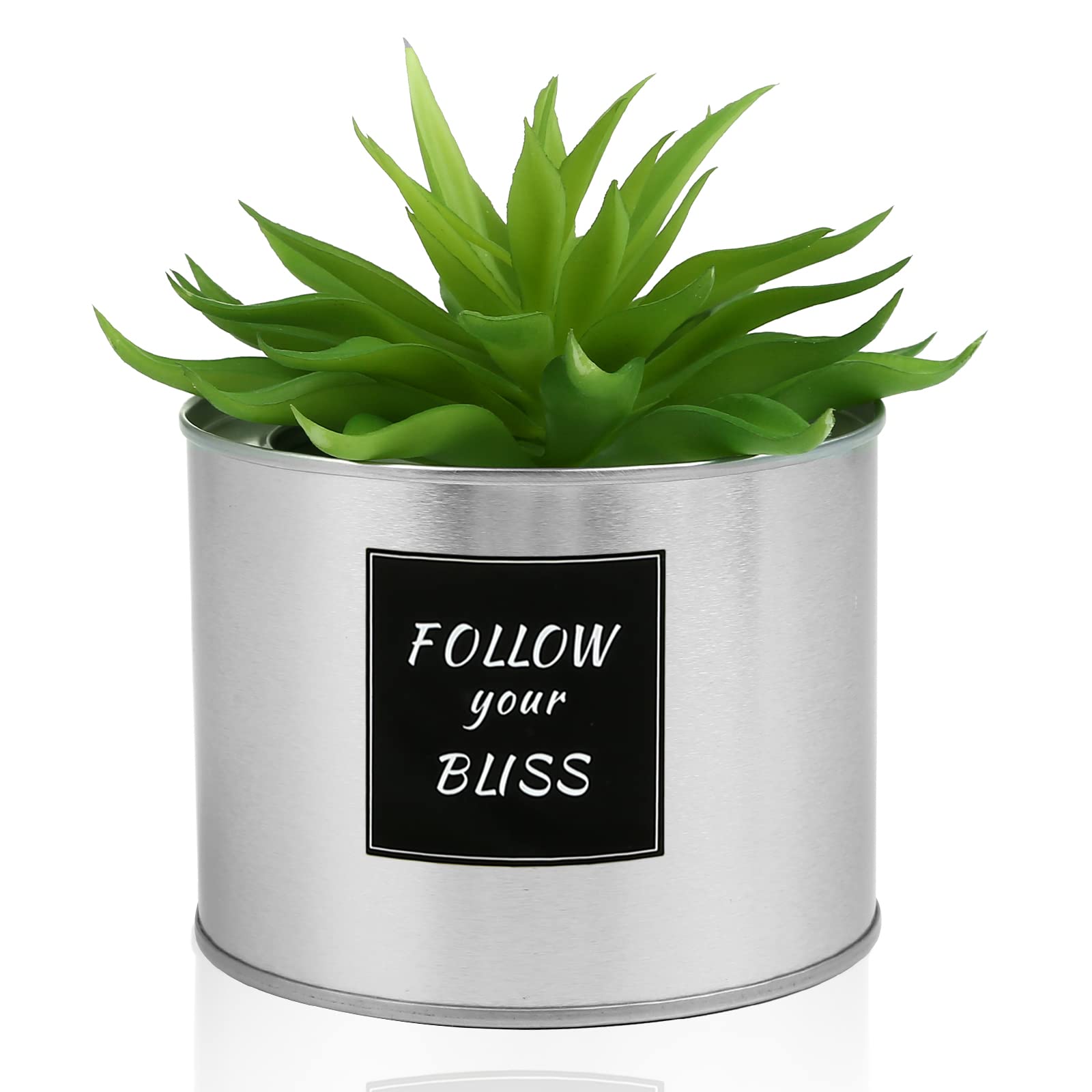 Yinsun Artificial Succulent Plant in Silver Pot - Office Decor for Women, Desk Accessories with Stickers, Perfect for Home, Dorm, Bedroom, Kitchen & Bookshelf Decoration | Modern Fake Plants for Workspace & Gift Ideas