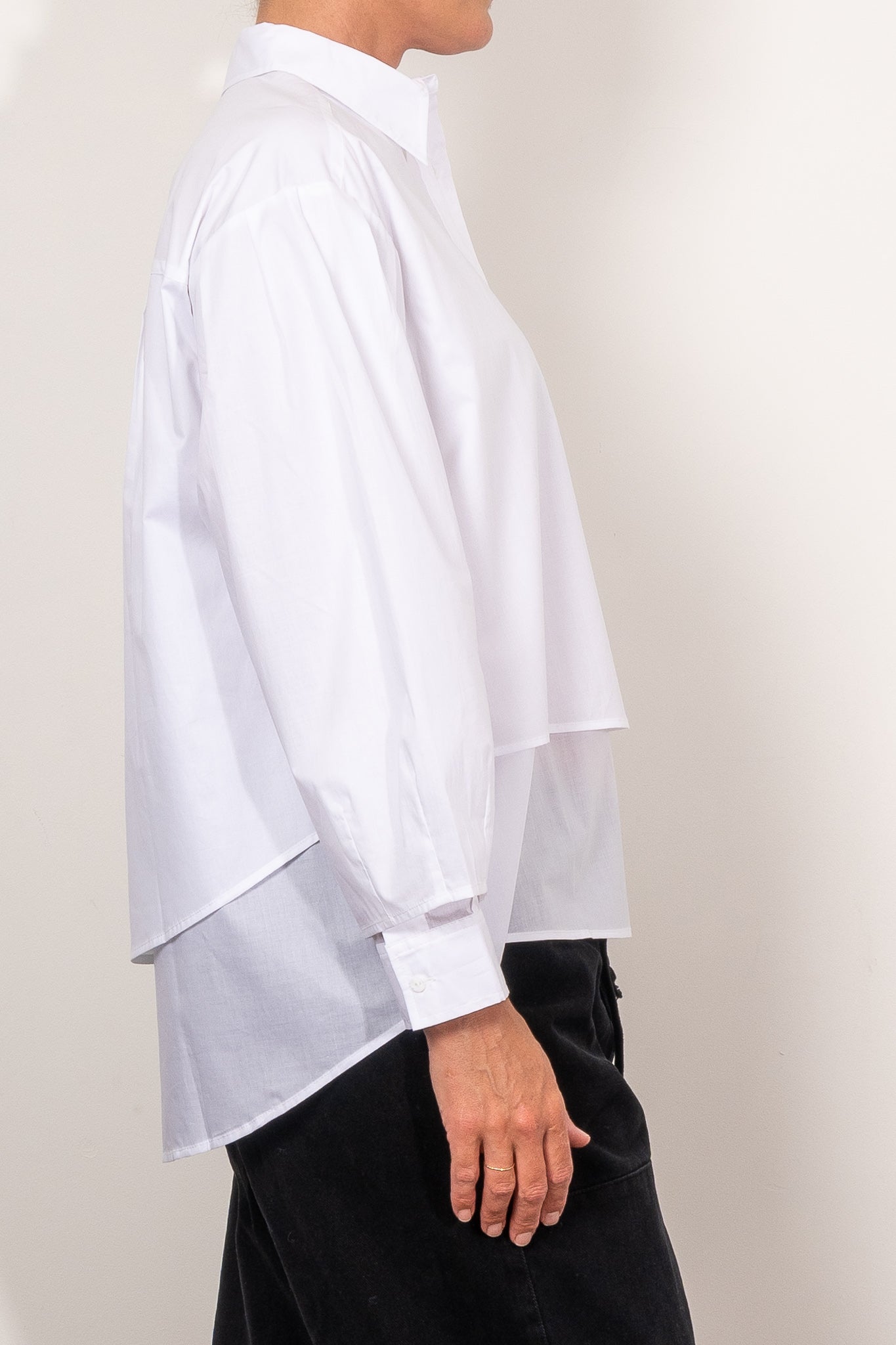 M.A. Dainty Rex Shirt - Stylish Casual Button Down for Men | Perfect for Office, Date Night & Everyday Wear