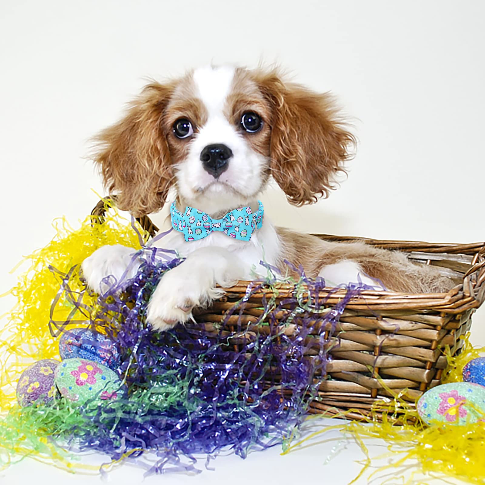 Easter Dog Collar with Bow Tie - Adjustable Bunny Egg Design Pet Collar with Metal Buckle for Small Medium Large Dogs - Perfect for Easter Photos, Pet Parties & Spring Celebrations