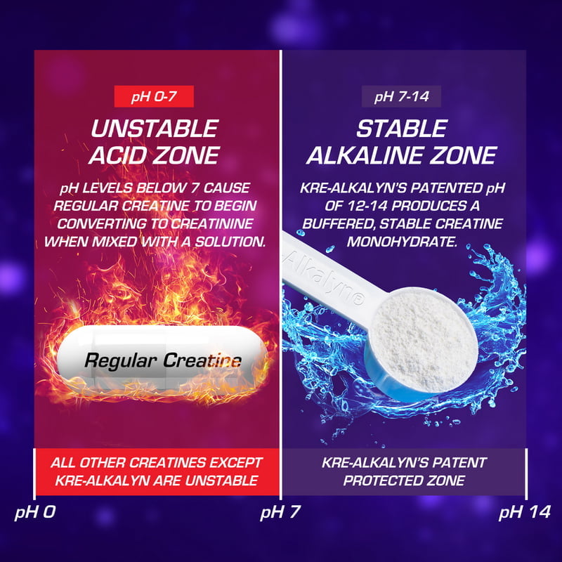EFX Sports Kre-Alkalyn Creatine Powder - 210g Unflavored | Muscle Recovery & Strength Supplement for Athletes & Bodybuilders | Pre-Workout & Post-Training Support