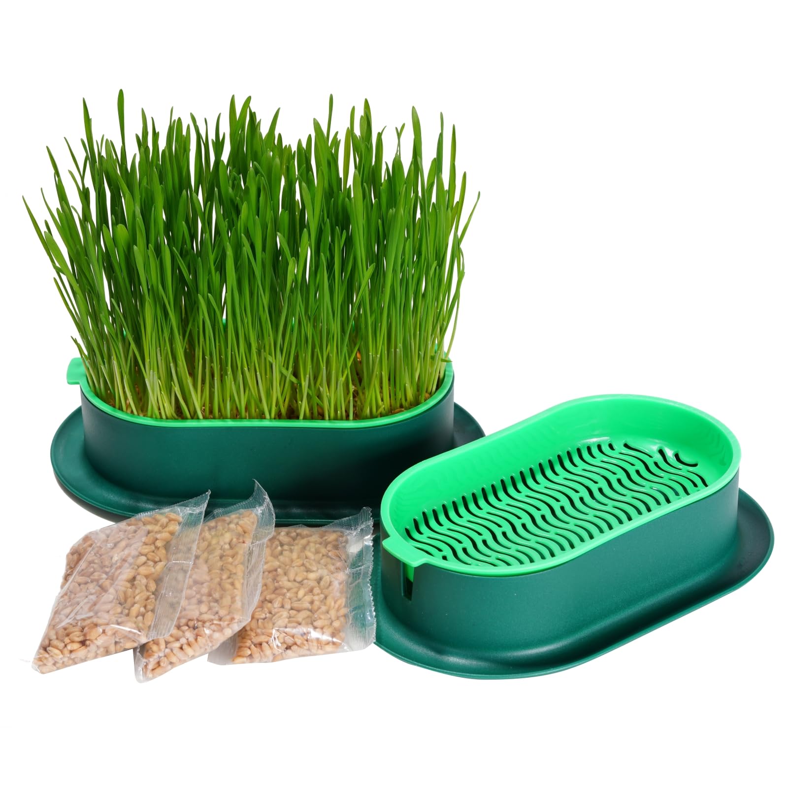 Organic Cat Grass Growing Kit - Hydroponic Indoor Soilless Planter for Cats | Easy to Grow 100% Natural Wheatgrass | Perfect for Indoor Cat Enrichment & Digestive Health