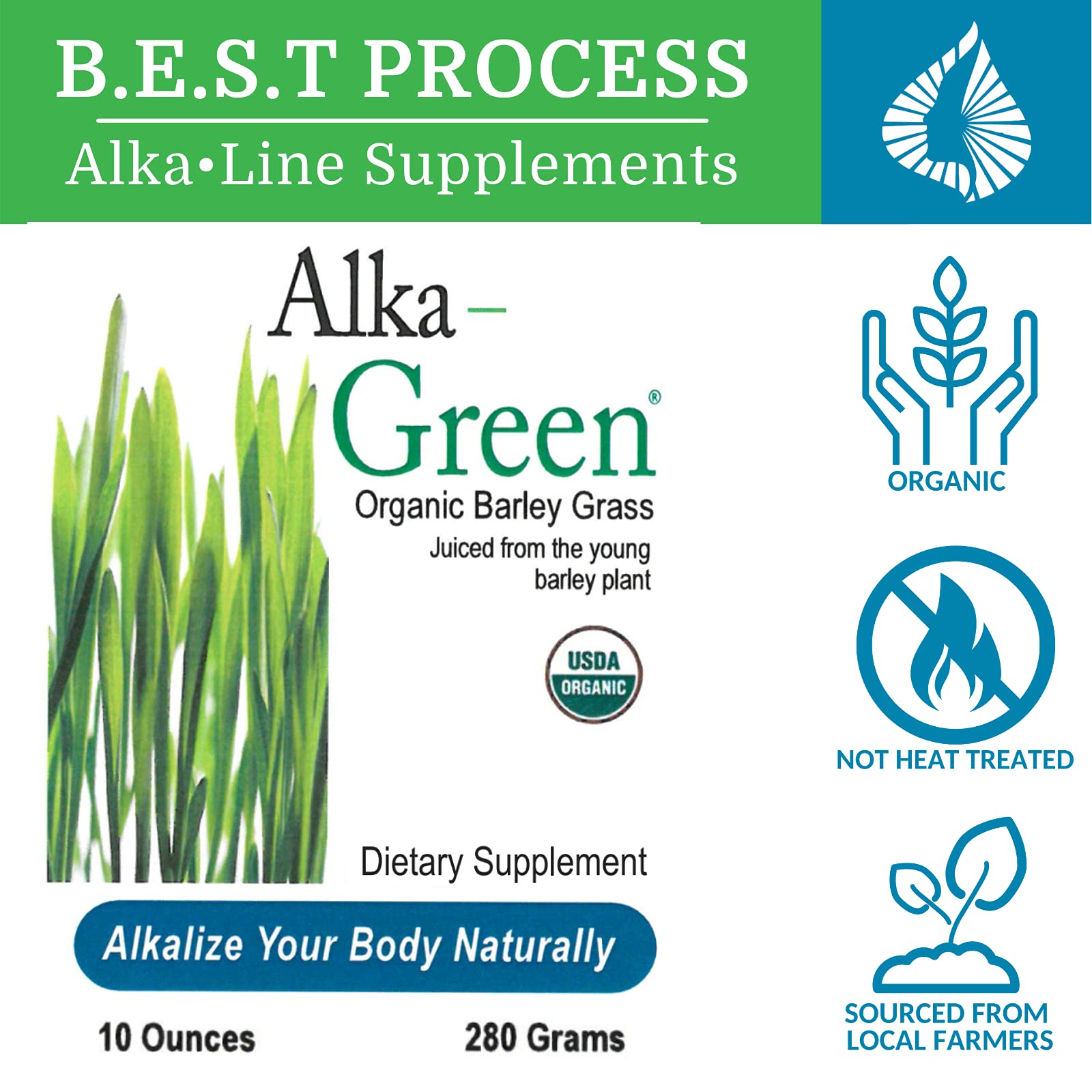 Alka•Green Superfood Powder (6 Pack) - Organic Alkaline Barley Grass Supplement Rich in Enzymes & Amino Acids - Nutrient-Dense Super Greens for Detox & Energy Boost - Perfect for Smoothies, Juices & Daily Wellness Routine