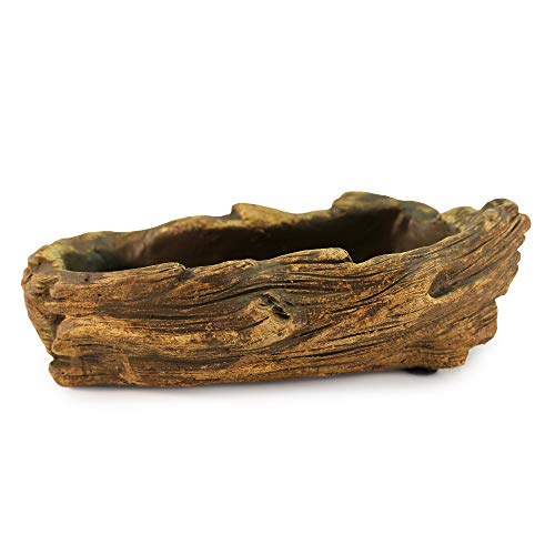 Driftwood