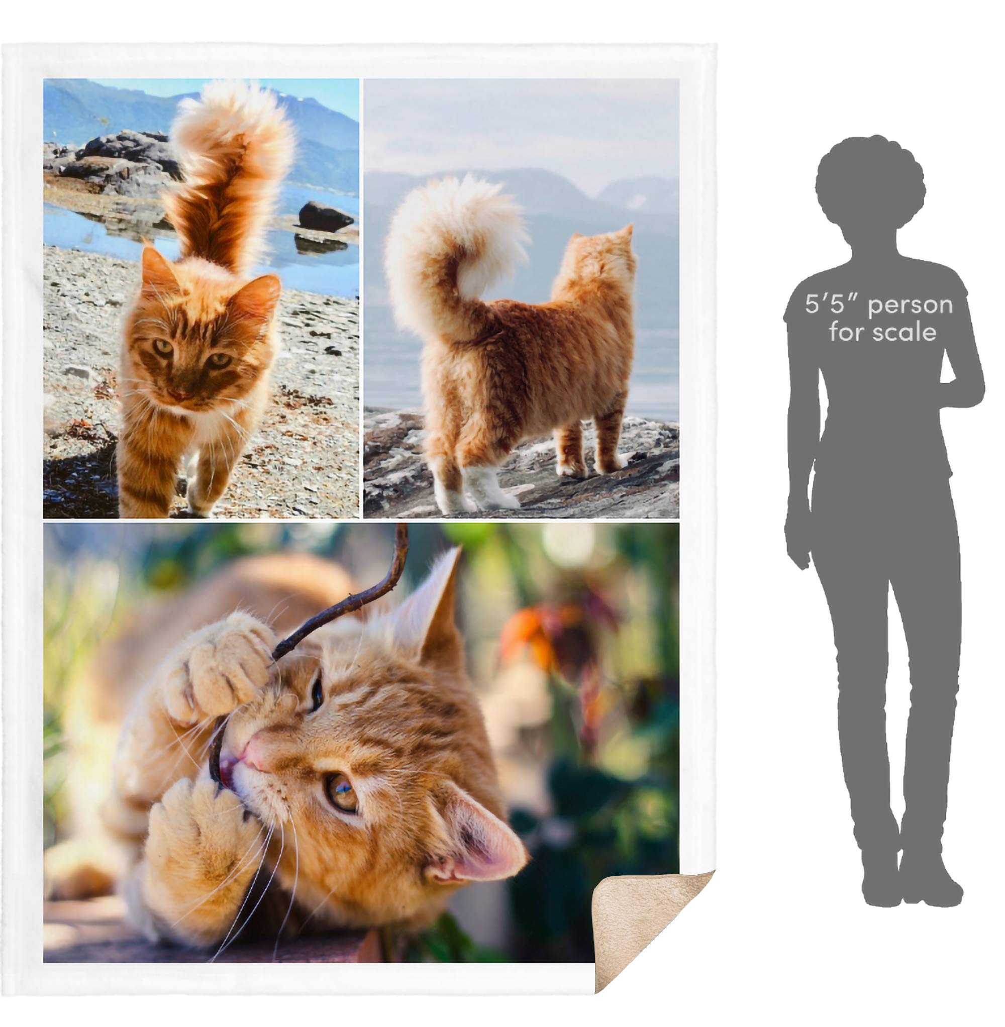 **Custom Photo Fleece Blanket - Personalized Throw Blanket with 3 Image Collage, Super Soft Sherpa Fleece (60