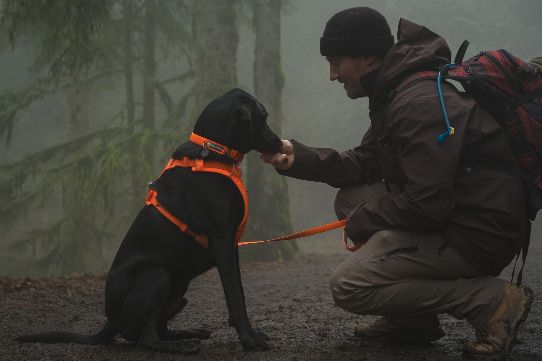 Ruffwear Front Range Dog Harness - Blaze Orange Reflective Vest for Medium & Large Dogs | Perfect for Hiking, Running & Outdoor Adventures