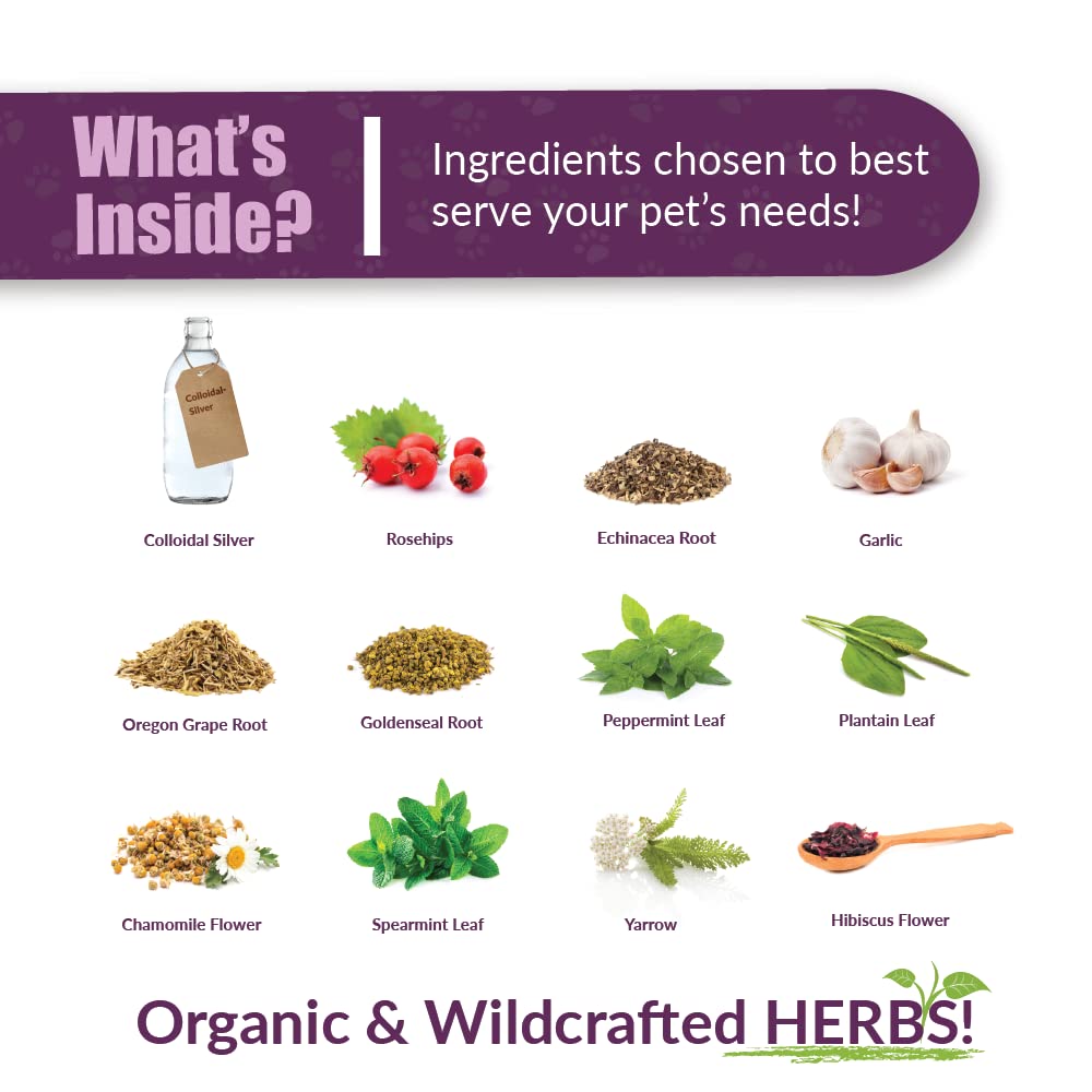 Amber NaturalZ Paxaid Digestive Rescue Herbal Supplement for Dogs & Puppies – Natural Canine Digestive Support for Occasional Upset Stomach – 4oz USA-Made Glass Bottle – Perfect for Travel, Post-Vet Visits & Dietary Changes