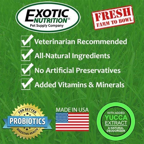 Exotic Nutrition Whole Oats 4 lb - Natural Healthy Supplemental Food for Prairie Dogs, Degus & Chinchillas - High Fiber Treat for Small Pets - Perfect for Cage Feeding & Daily Nutrition