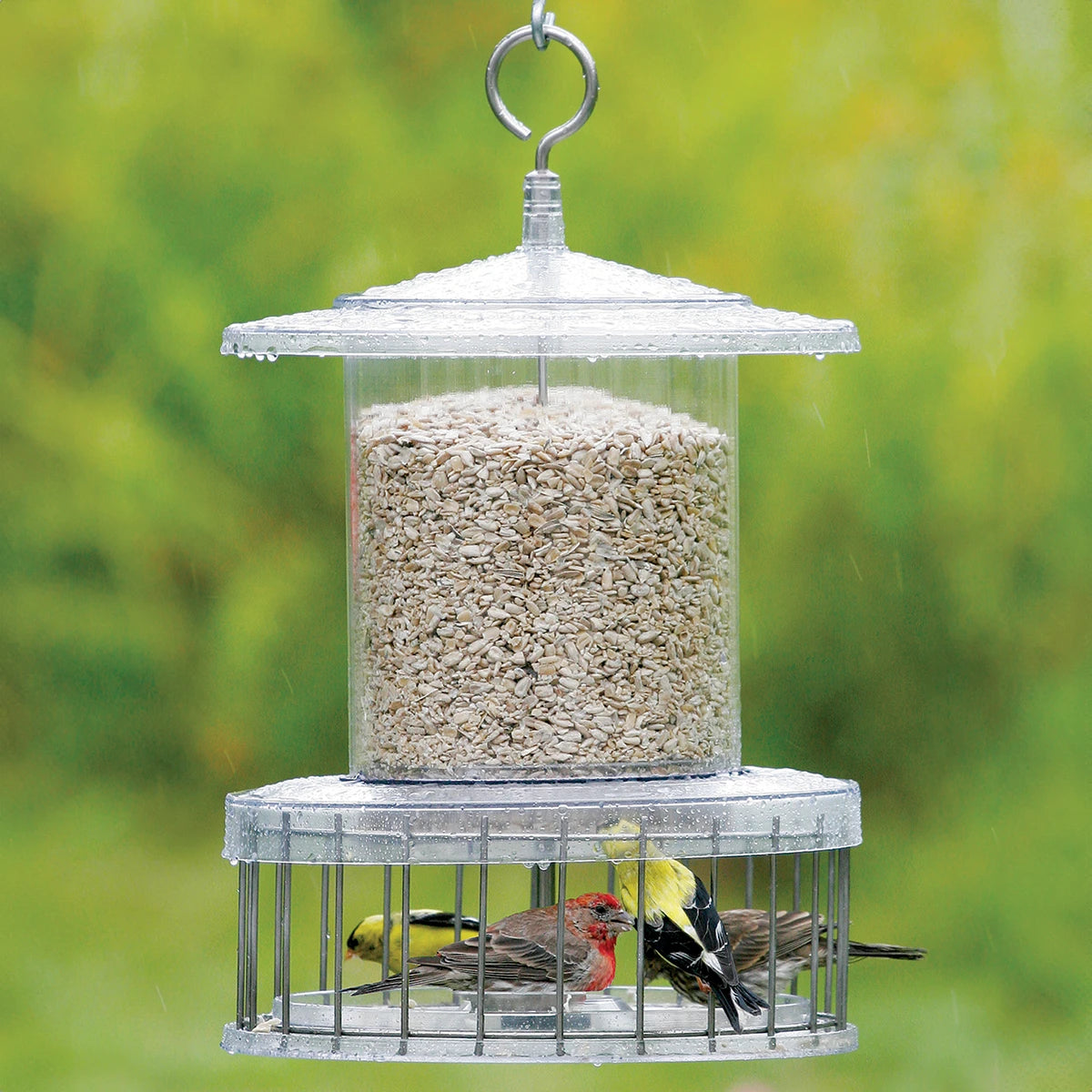 All Weather Bird Feeder with Wire Cage - Durable Outdoor Squirrel Proof Bird Feeder for Year-Round Bird Watching in Garden, Patio or Backyard