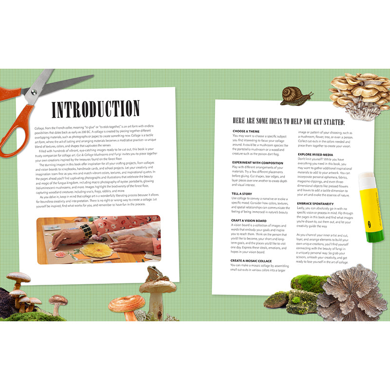 Premium Mushroom & Fungi Cutting and Collage Kit - DIY Craft Supplies for Scrapbooking, Journaling, and Nature-Themed Home Decor