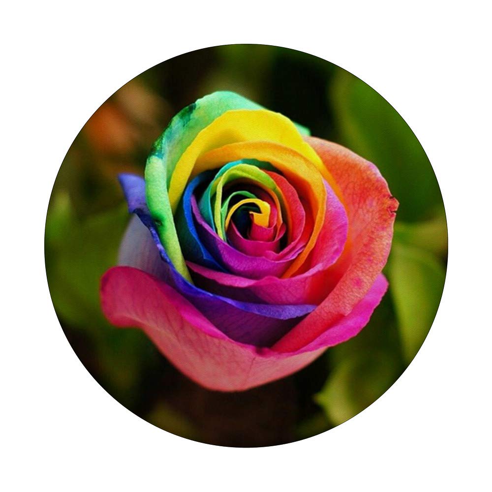 Floret Phone PopSockets PopGrip - Interchangeable Phone Grip for iPhone, Samsung & Tablets | Secure Hold for Selfies, Videos & Gaming | Stylish Swappable Design for Everyday Use