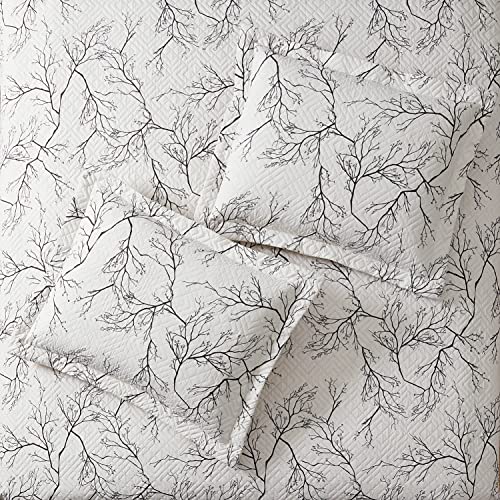 Printed - Branches