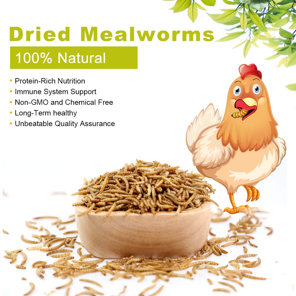 Premium Dried Mealworms 22Lbs Bulk - High Protein, 100% Non-GMO Natural Animal Feed for Birds, Chickens, Turtles, Fish, Hamsters & Hedgehogs - Perfect for Backyard Poultry, Wild Bird Feeding & Pet Nutrition