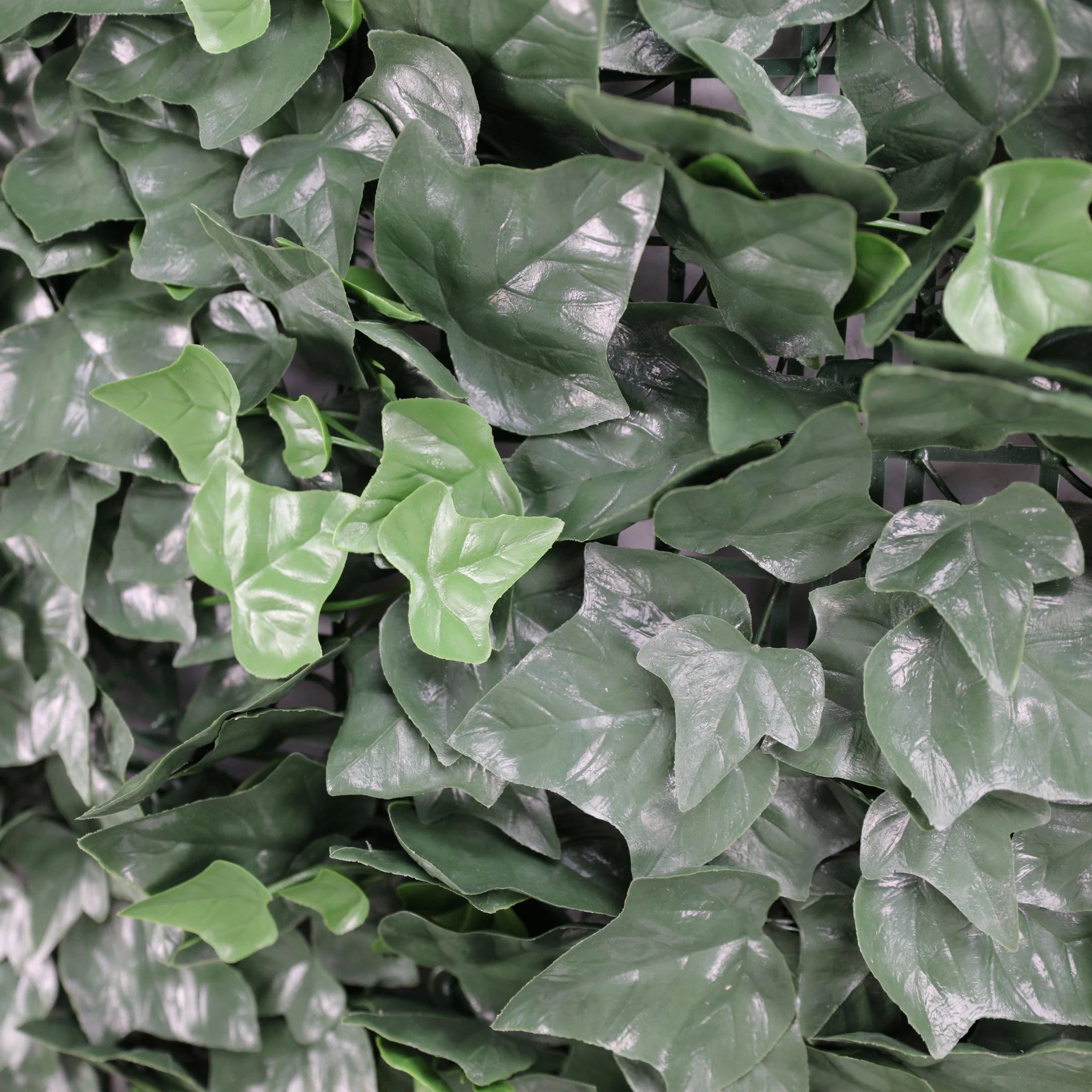 Artificial Ivy Hedge Panel - 1m x 1m UV Resistant Fake Vertical Garden for Indoor & Outdoor Use - Perfect for Privacy Fence, Wall Decor, and Balcony Greenery