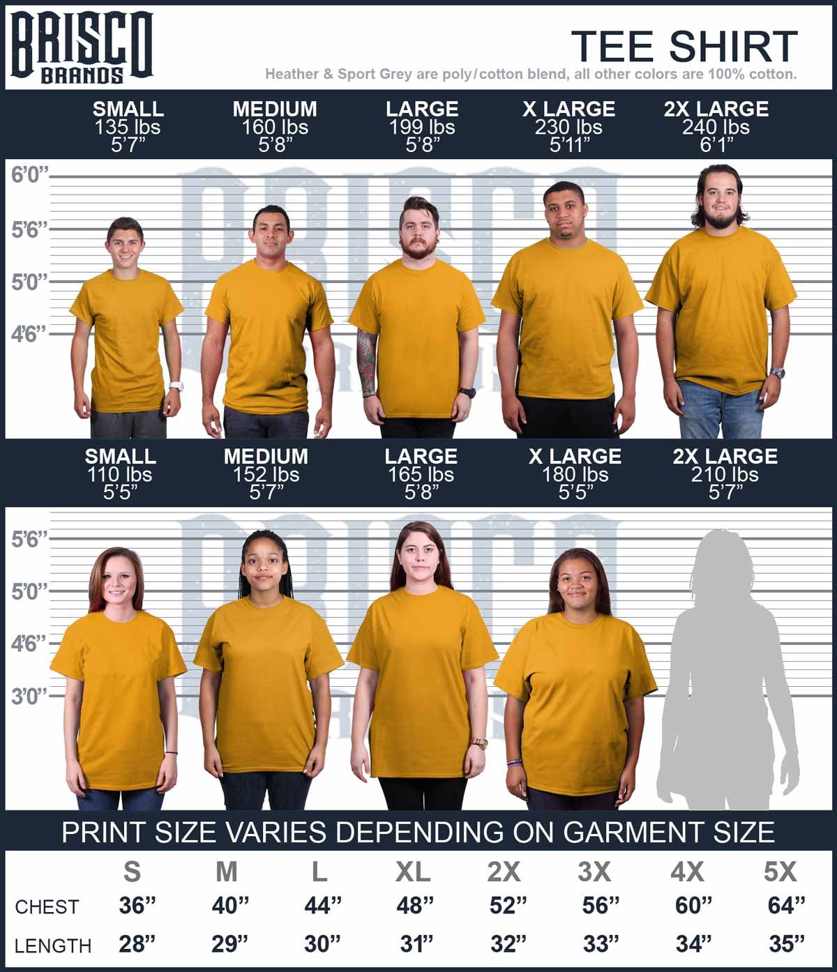 No Pain No Gain Treadmill Workout Graphic T-Shirt for Men & Women - Gym, Running & Fitness Apparel