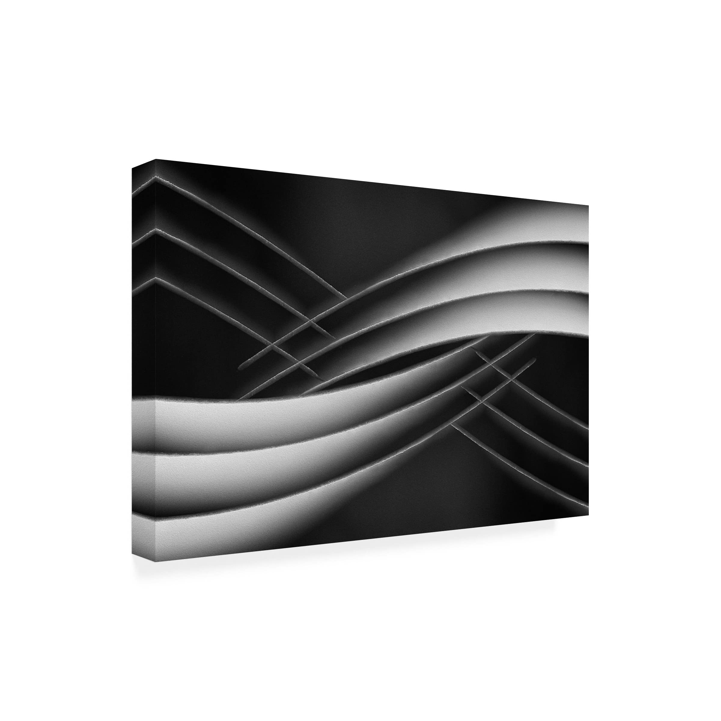 Trademark Fine Art 'Interlaced' Canvas Wall Art by Jutta Kerber - Modern Abstract Painting for Living Room, Bedroom & Office Decor