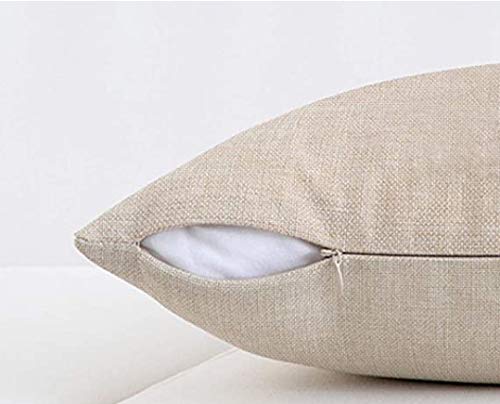 EKOBLA 18x18 Inch Cotton Candy Throw Pillow Cover - Sweet Ice Cream Design, Funny Best in Town Dessert Print, Soft Pink Cozy Square Cushion Case for Bedroom, Living Room, Sofa - Home Decor Gift for Men, Women, Boys & Girls (Cotton Linen Blend)