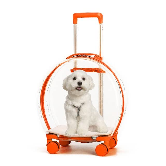 Aitao Clear Pet Carrier Backpack - Breathable Travel Trolley Suitcase for Small Dogs & Cats (Color: Emerald) - Perfect for Airplane, Car Rides & Vet Visits