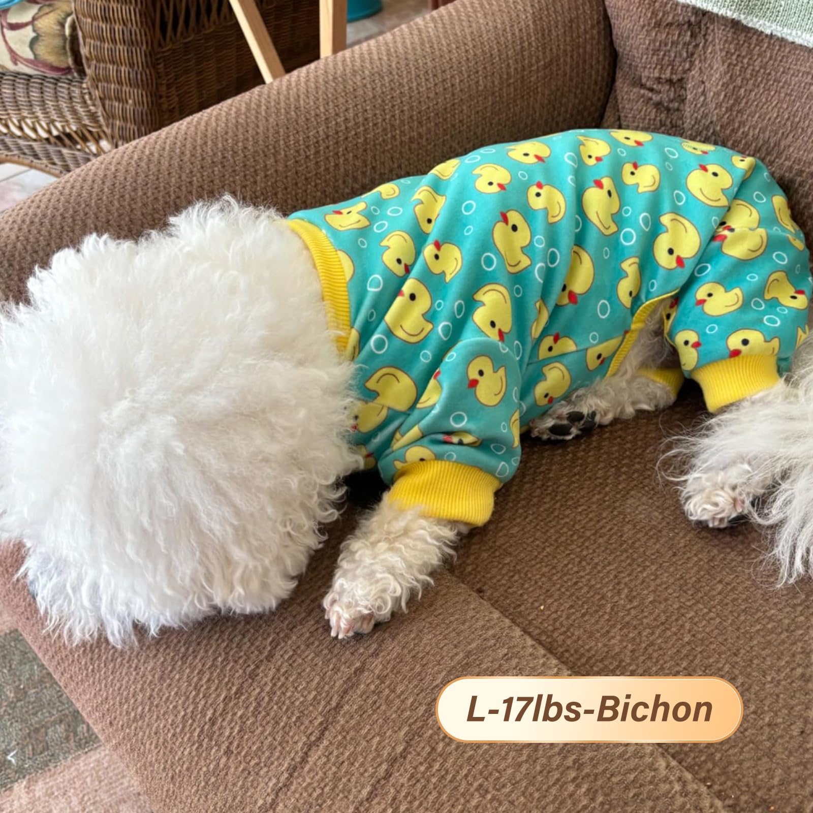 KYEESE Yellow Ducks Dog Pajamas - Soft Surgery Recovery Suit for Small Dogs & Cats, Cozy Dog Onesie & Costume for Post-Surgery Care, Winter Warm Dog Coat (Perfect for Recovery, Indoor Lounging & Photo Shoots)