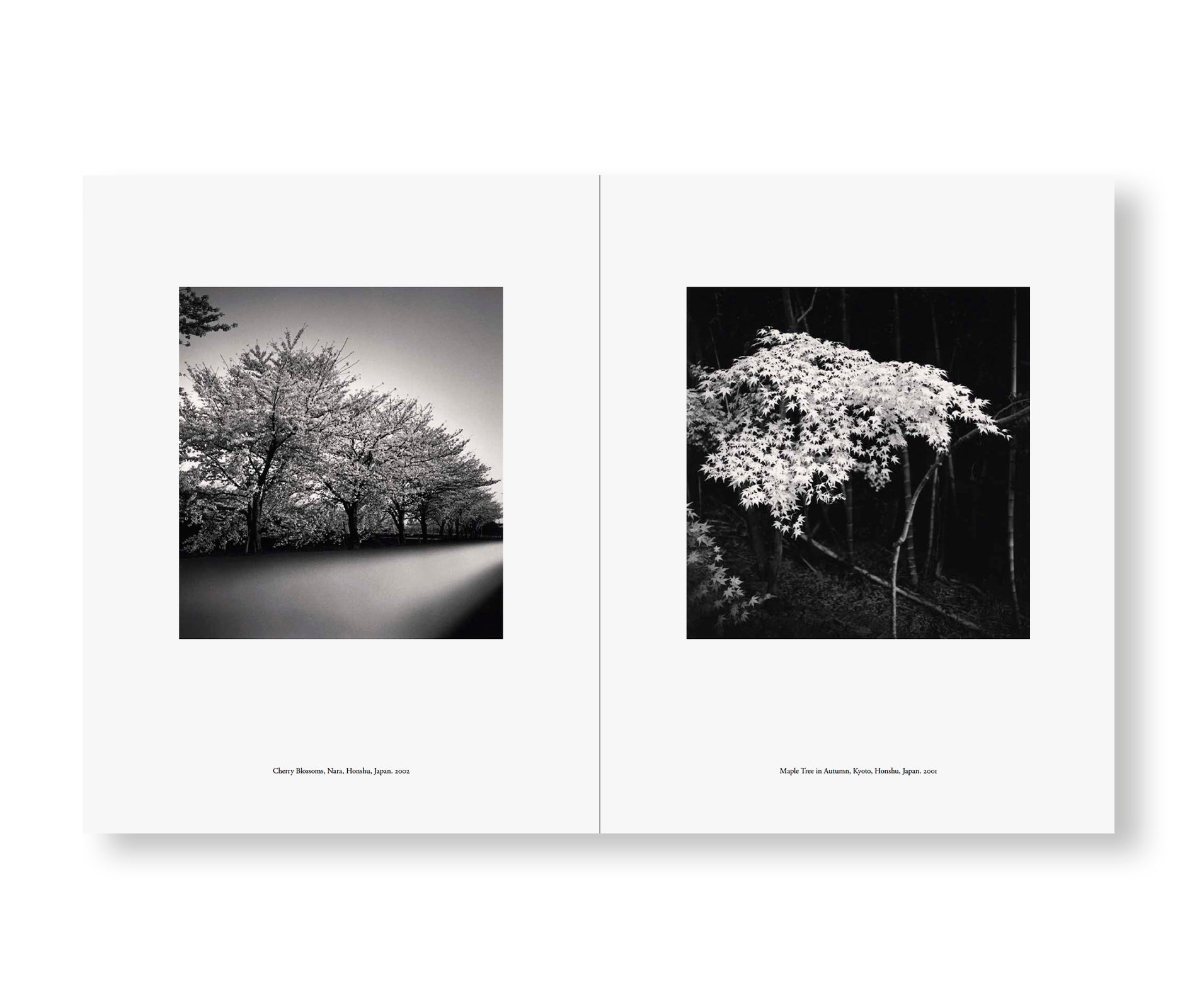 JAPAN | A LOVE STORY by Michael Kenna - Photography Book of Japan's Landscapes - Perfect for Travel Enthusiasts & Photography Lovers