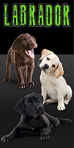 Colorful Dog Print Beach Towel - Labrador Design, Soft & Absorbent, Large Size for Pool, Beach & Bath - Perfect for Summer Vacations, Picnics & Outdoor Adventures