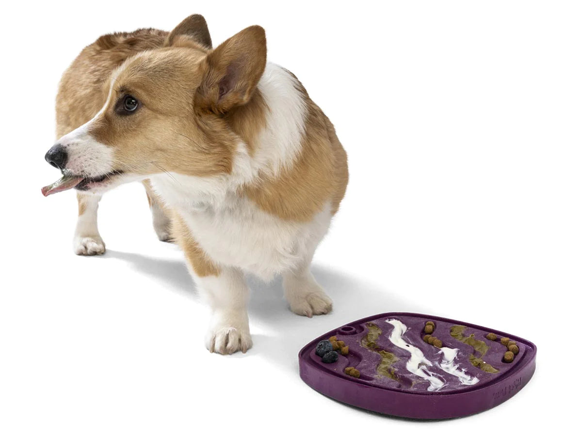 Slow Feeder & Lick Mat for Dogs - Non-Slip Green Silicone Licking Pad by West Paw - Perfect for Mealtime Enrichment, Anxiety Relief & Grooming Sessions