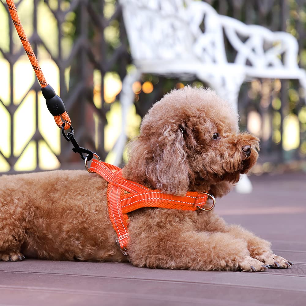 Plutus Pet No Pull Dog Harness - Breathable Mesh Padded, Adjustable Reflective Escape Proof Vest for Small Medium Large Dogs (XS, Orange) - Perfect for Walking, Running, Hiking & Outdoor Adventures
