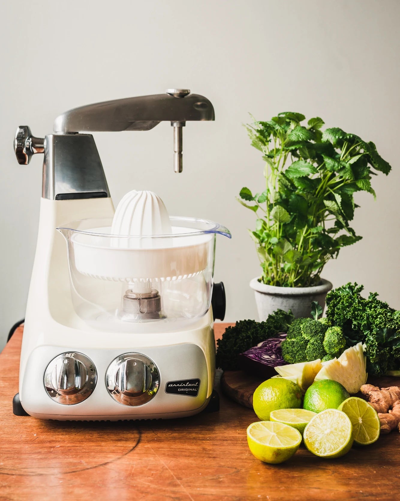 Ankarsrum Electric Citrus Juicer - Premium Orange Lemon Lime Squeezer for Fresh Juice - Perfect for Breakfast, Cocktails, and Healthy Drinks