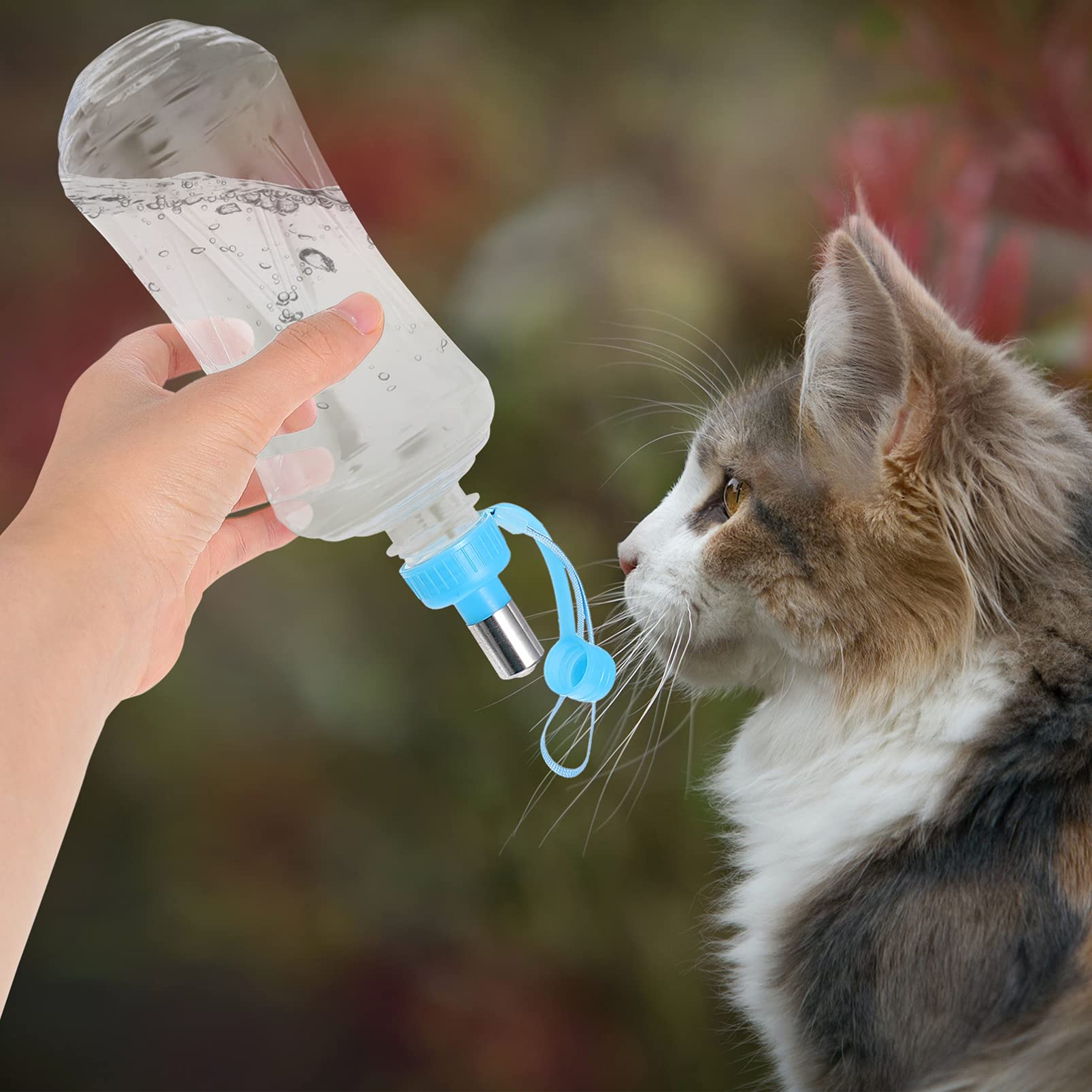 2 Pack Portable Pet Water Bottle with Drinking Spout - Leakproof Travel Dog Water Dispenser for Small Animals, Cats & Dogs - Ideal for Hiking, Walking, Camping & Outdoor Adventures