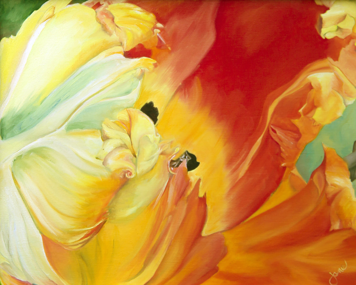 Beautiful Tulip Bouquet - Perfect Gift for Fiona | Fresh Flowers for Birthdays, Anniversaries & Special Occasions