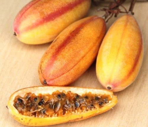 Organic Banana Passionfruit Seeds (Passiflora Mollissima) - 100 Pack for Home Garden Planting | Exotic Tropical Fruit Flower for Landscaping & Culinary Use
