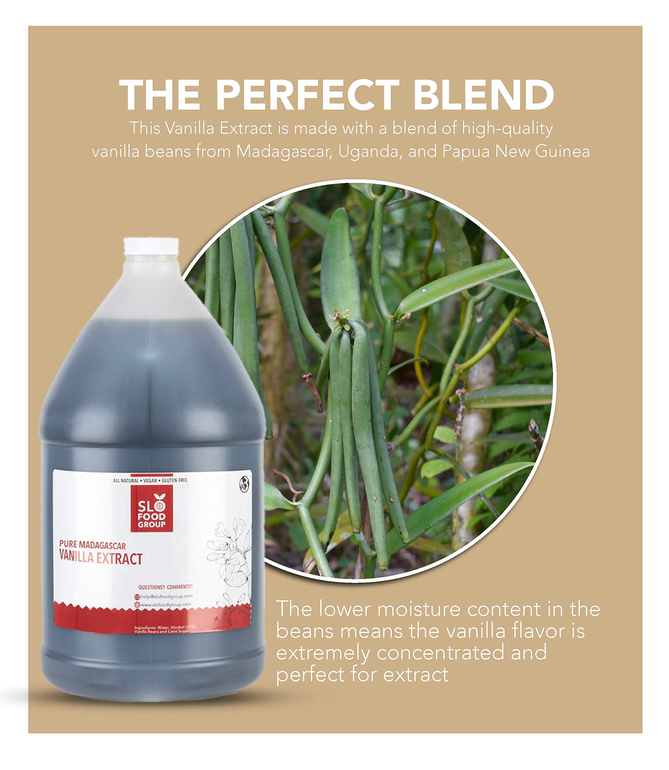 Premium Pure Vanilla Extract - 1 Gallon (128 fl oz) - Made from Madagascar, Uganda & Papua New Guinea Vanilla Beans - Ideal for Baking, Cooking, Ice Cream & Desserts - Natural Flavor Enhancer for Cakes, Cookies & Beverages