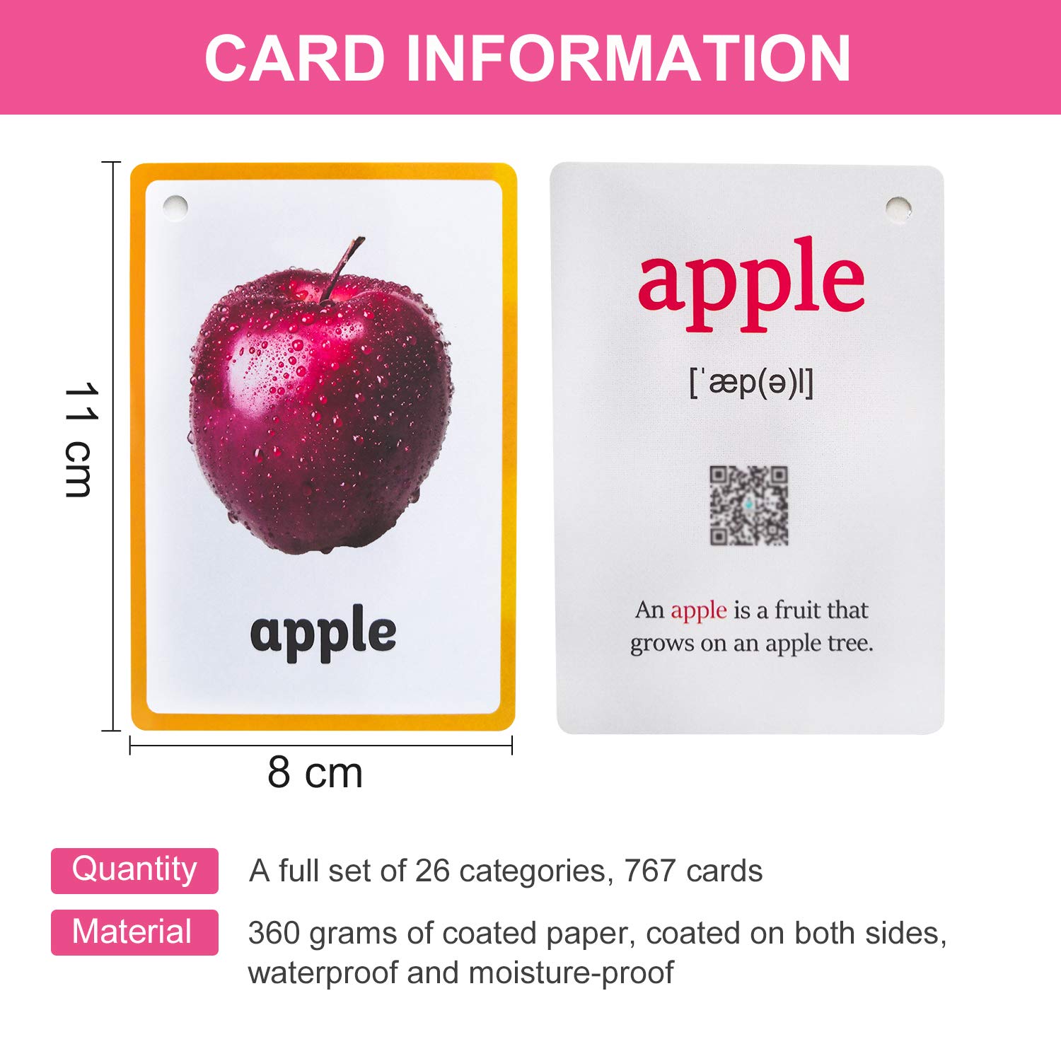 Richardy 26 Categories 767 PCS Montessori Flash Cards for Kids - English Learning Pocket Cards, Baby Educational Toys for Preschool & Kindergarten - Perfect for Homeschooling, Classroom & Travel Learning Activities