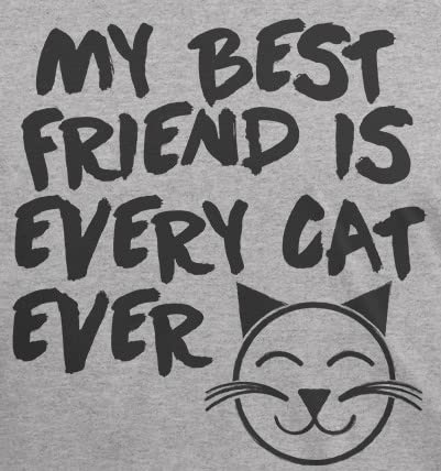 My Best Friend Is Every Cat Ever Grey Youth T-Shirt - Perfect for Casual Wear, School, and Cat Lovers