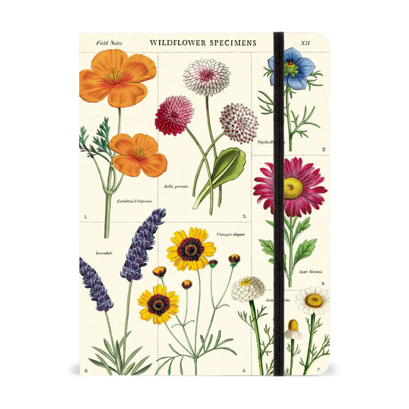 Cavallini & Co. Large Wildflowers Notebook - Lined Journal for Writing, Sketching & Note Taking - Perfect Gift for Nature Lovers, Artists & Students