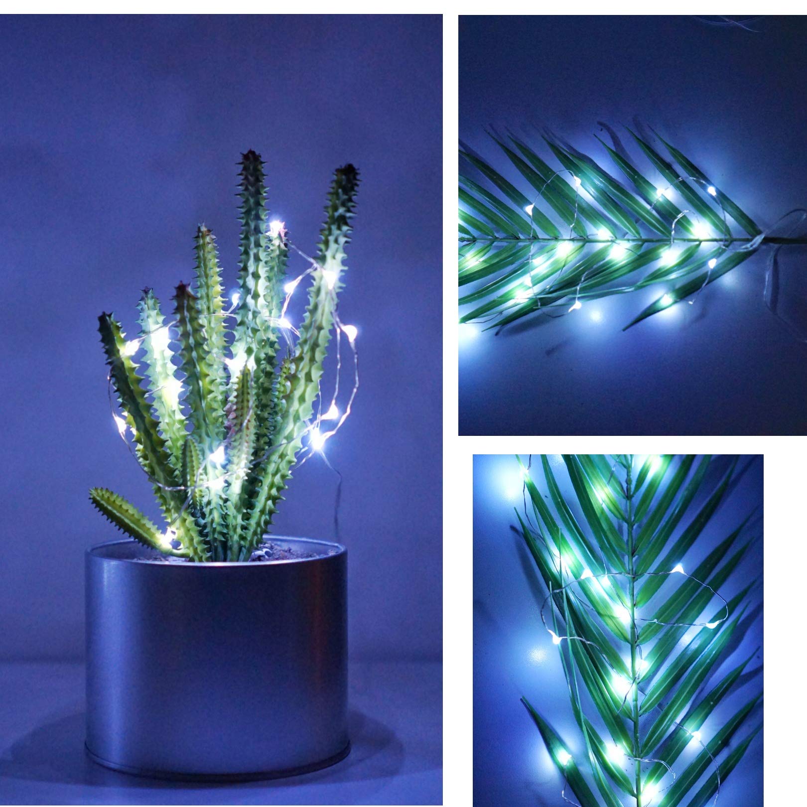 24 Pack Battery Operated Fairy Lights - 6.6ft 20 LED Mini String Lights with Silver Wire for Wedding, Party, Christmas Decor (Cool White) | Perfect for DIY Home Decor, Bedroom, Garden & Holiday Celebrations