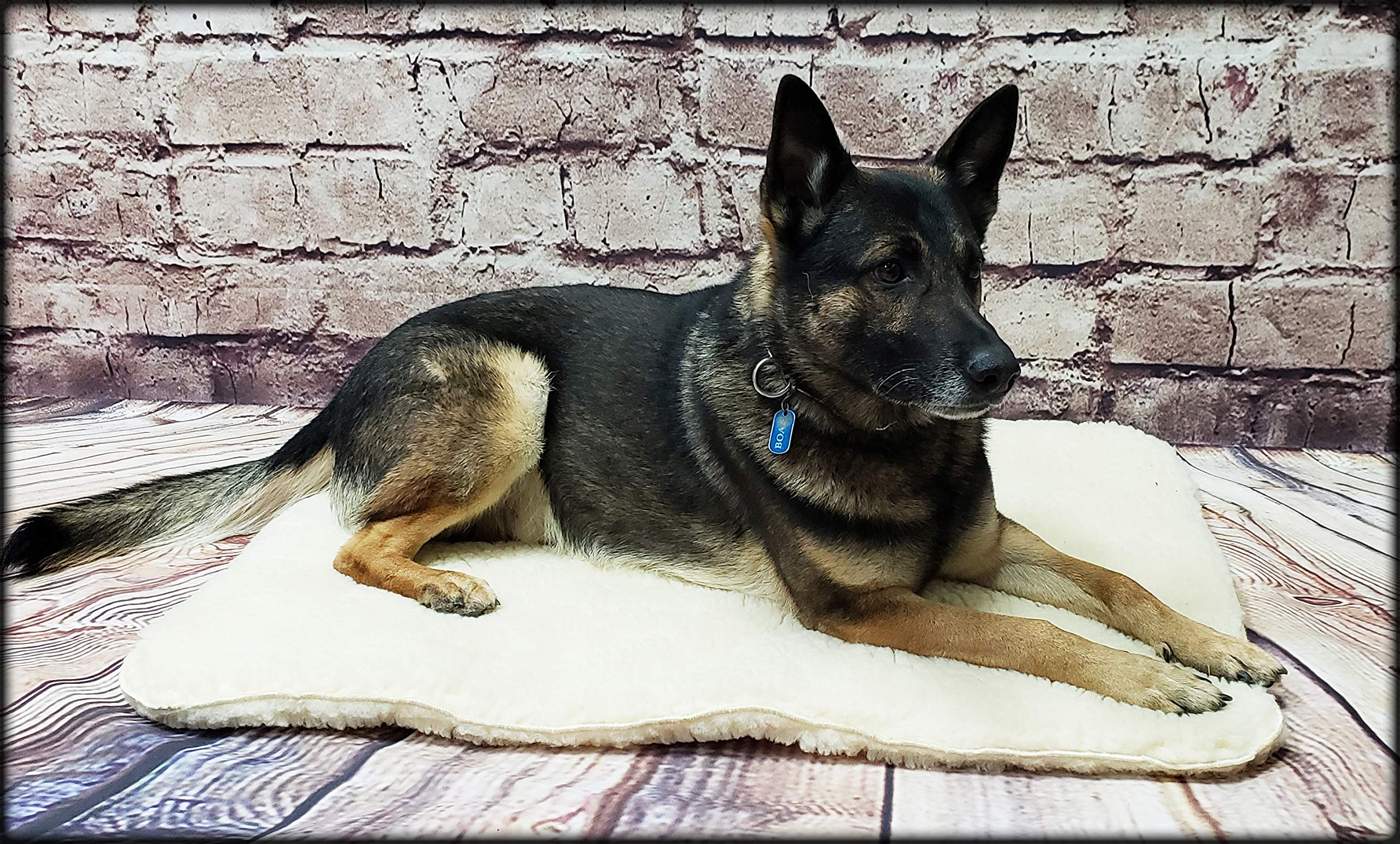 ActiveDogs Orthopedic Dog Bed Large 30x40 Inches - Hi Loft Sherpa Faux Lambskin Pet Bed - Double Layered & Machine Washable - Perfect for Large Dogs, Senior Pets & Joint Pain Relief - Great for Living Room, Bedroom or Crate