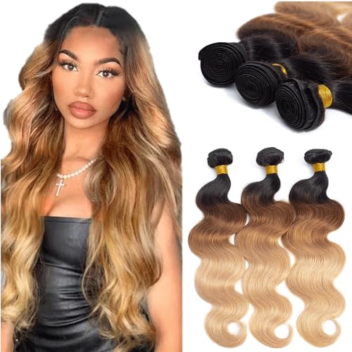 #1B/30/27 Body Wave