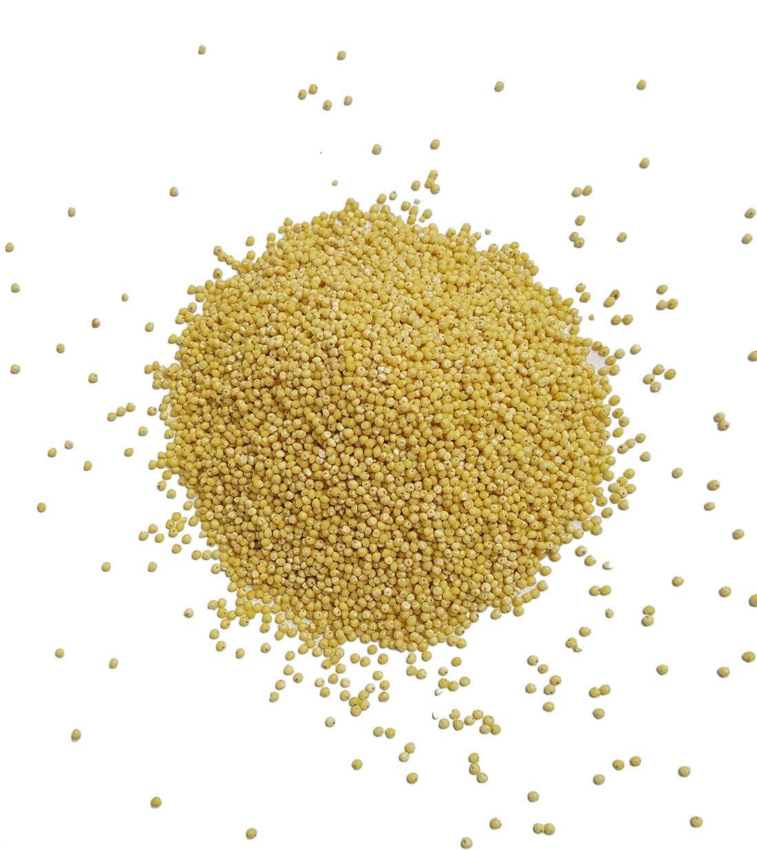 Organic Millet Seeds - USA Grown, Non-GMO, Hulled, Gluten-Free Whole Grain for Baking, Porridge & Healthy Snacks - Bulk Raw Millet for Home Cooking & Meal Prep