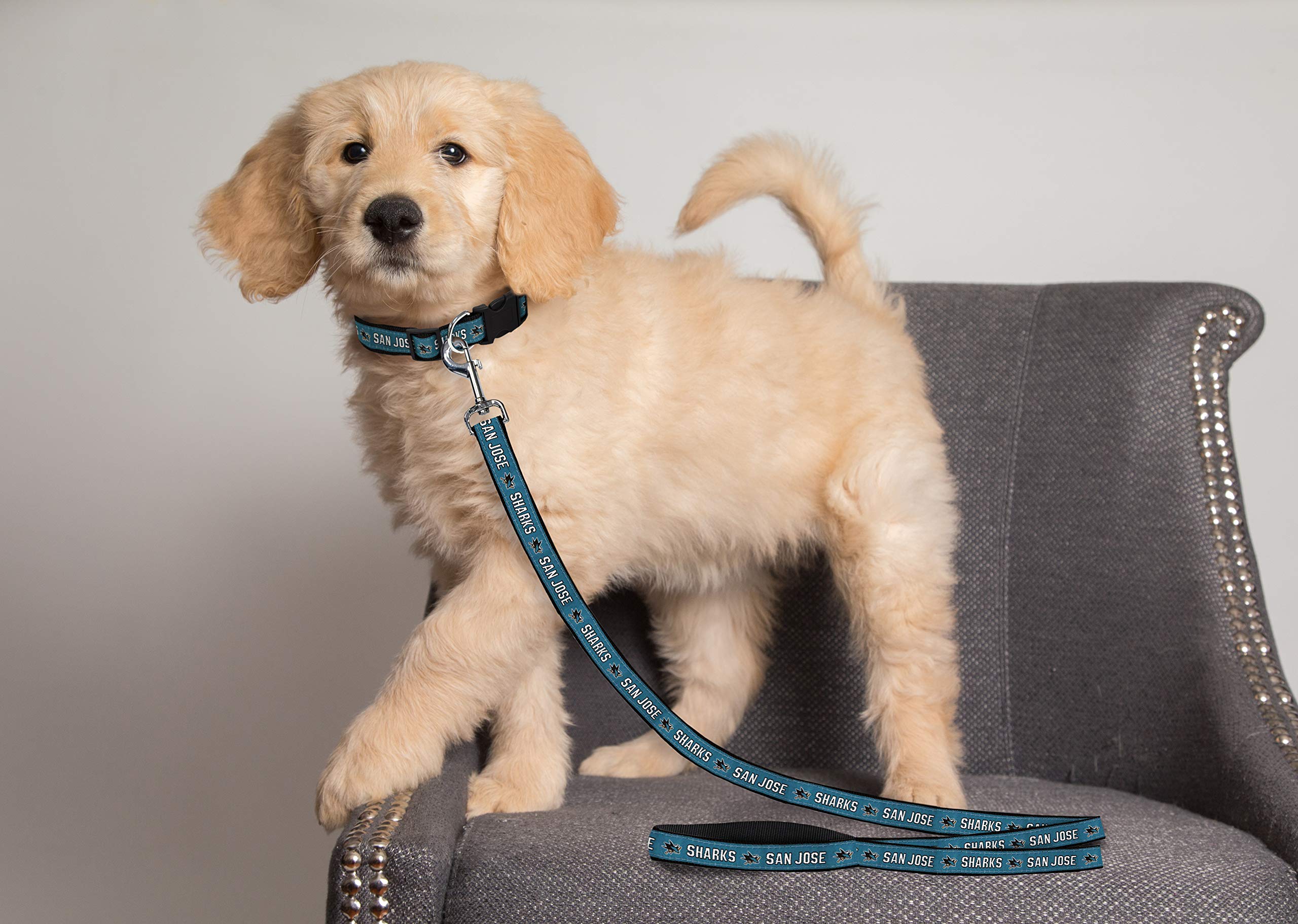 San Jose Sharks NHL Pet Leash for Dogs & Cats - 6ft Hockey Fan Dog Leash with 1-Inch Width (Large, SJS-3031-LG) - Perfect for Game Day Walks & Hockey-Themed Outings