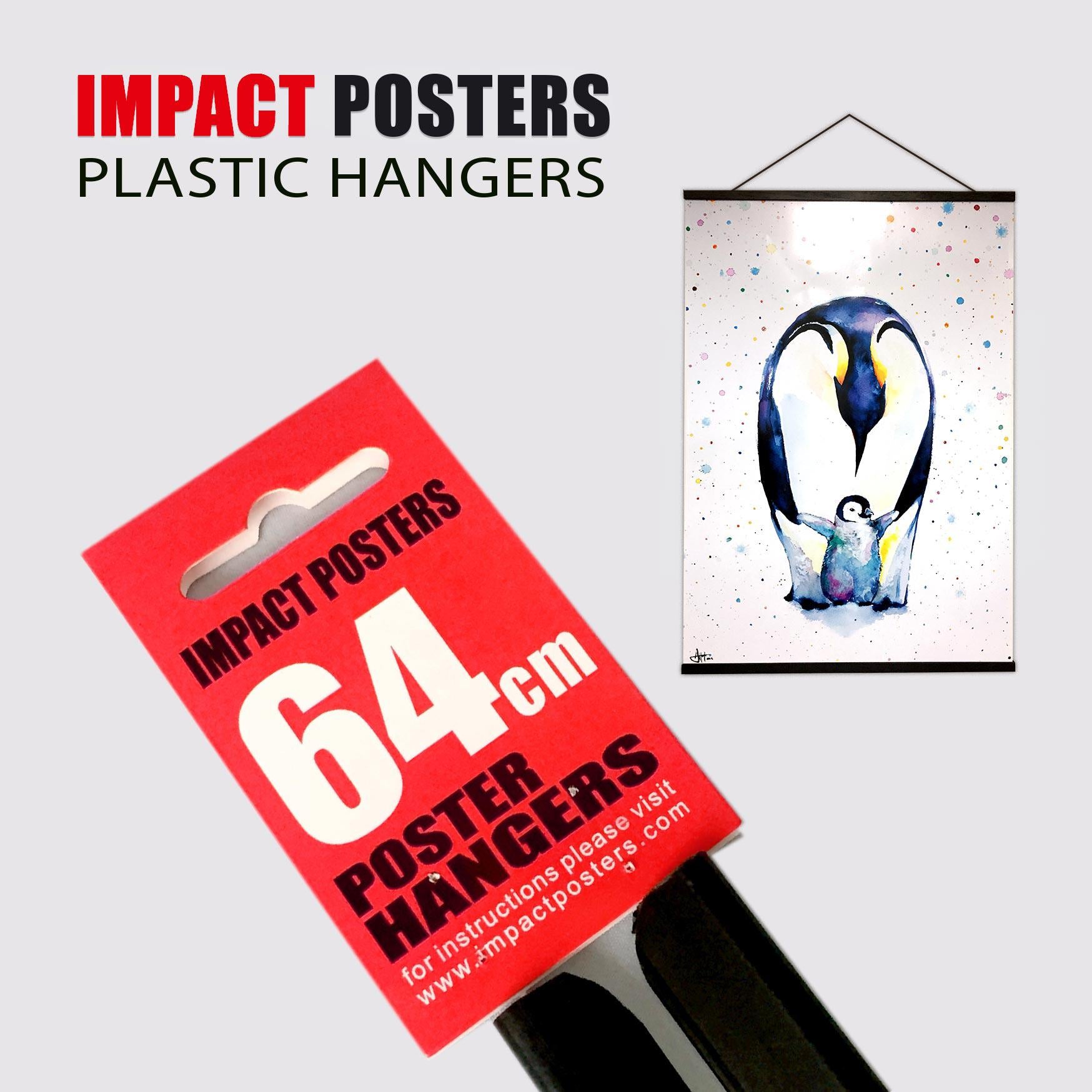 64cm Horizontal Poster Hanger - Aluminum Frame for Art Prints, Photos & Posters - Perfect for Home Decor, Office Display & Gallery Exhibitions