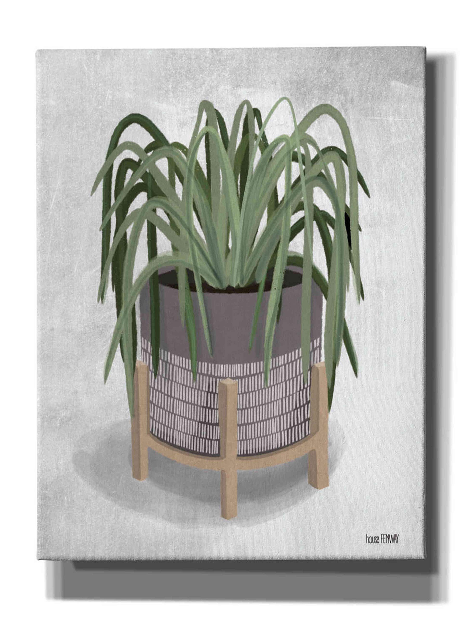 Epic Graffiti 'Spider Plant' Canvas Wall Art by House Fenway - 26x34 Inches Modern Home Decor for Living Room, Bedroom & Office