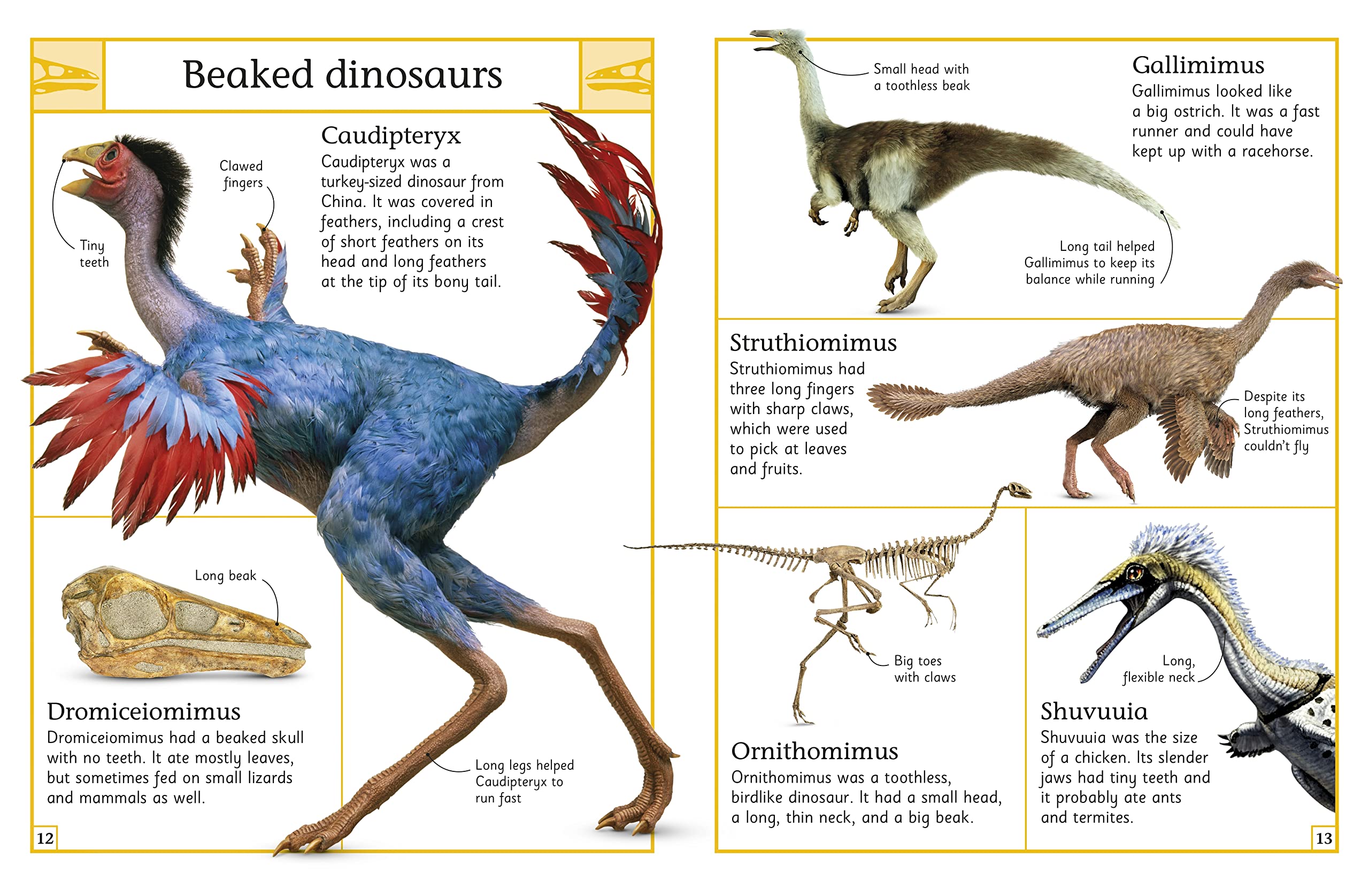 **The Big Book of Dinosaurs – DK Big Books | Kids Educational Dinosaur Encyclopedia | Perfect for Learning, Gifts & Classroom Activities**