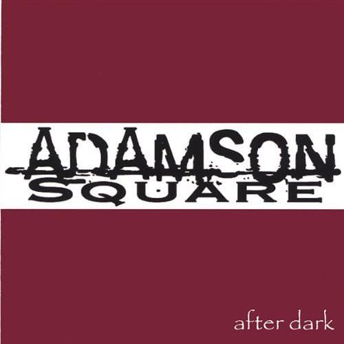 After Dark LED Lights for Nighttime Outdoor Decor