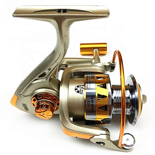 Premium Fishing Spinning Reel with Metal Spool & Ball Bearings - Smooth Casting Carp Fishing Reel with Semi-Metallic Handle - Saltwater & Freshwater Fishing Gear for Bass, Trout, and Carp - Ideal for Shore Fishing, Boat Angling, and Deep Sea Fishing