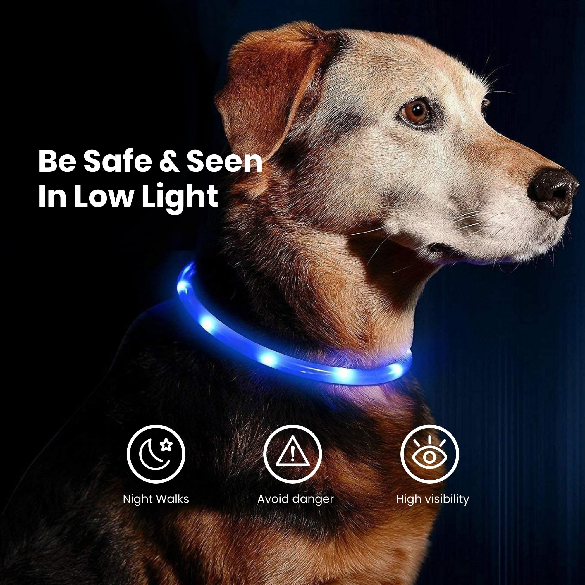 PetSol Ultra Bright USB Rechargeable LED Dog Safety Collar - Waterproof & Adjustable for Night Walking, Jogging, and Outdoor Adventures