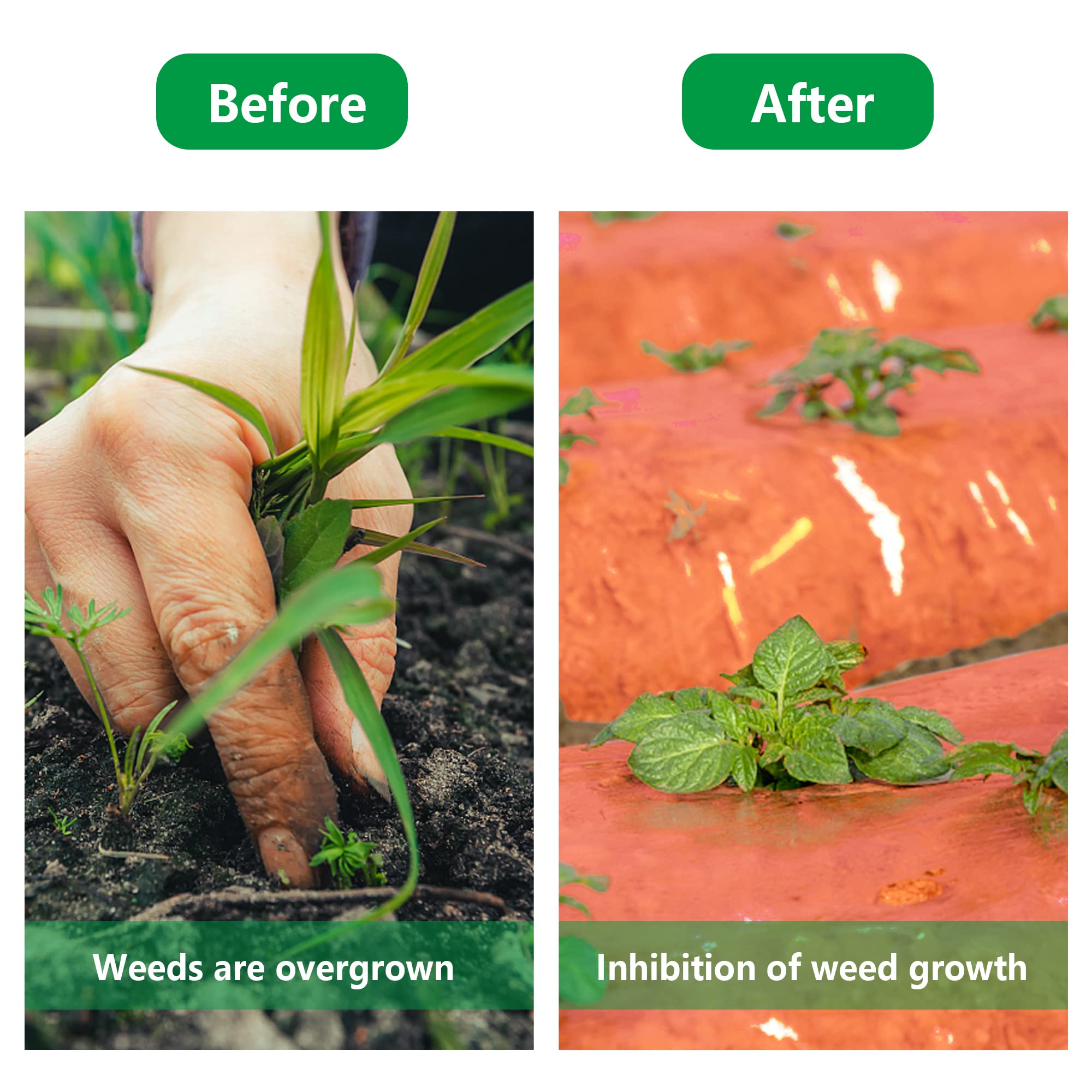 2-Pack 3 Mil Embossed Red Plastic Mulch Film for Gardening - 4ft x 25ft Agricultural Ground Cover for Crops - Ideal for Potatoes, Tomatoes, Eggplants & Strawberries | Weed Control & Soil Temperature Regulation