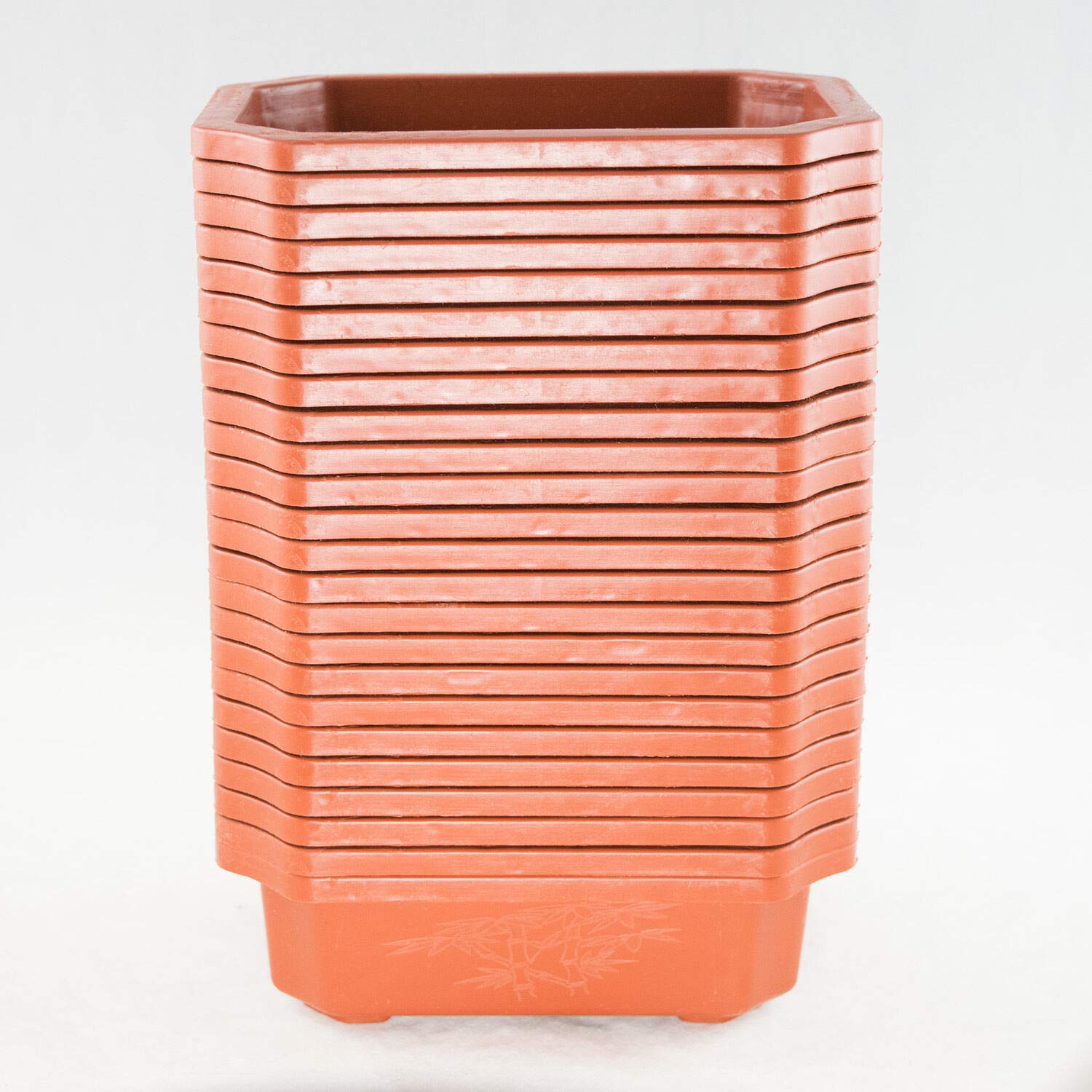 24 Pack 6.25x4.5x2 Inch Plastic Plant Pots for Bonsai, Cactus & Succulents - Durable Rectangular Flower Containers with Drainage Holes for Indoor/Outdoor Gardening, Home Decor & Office Plants