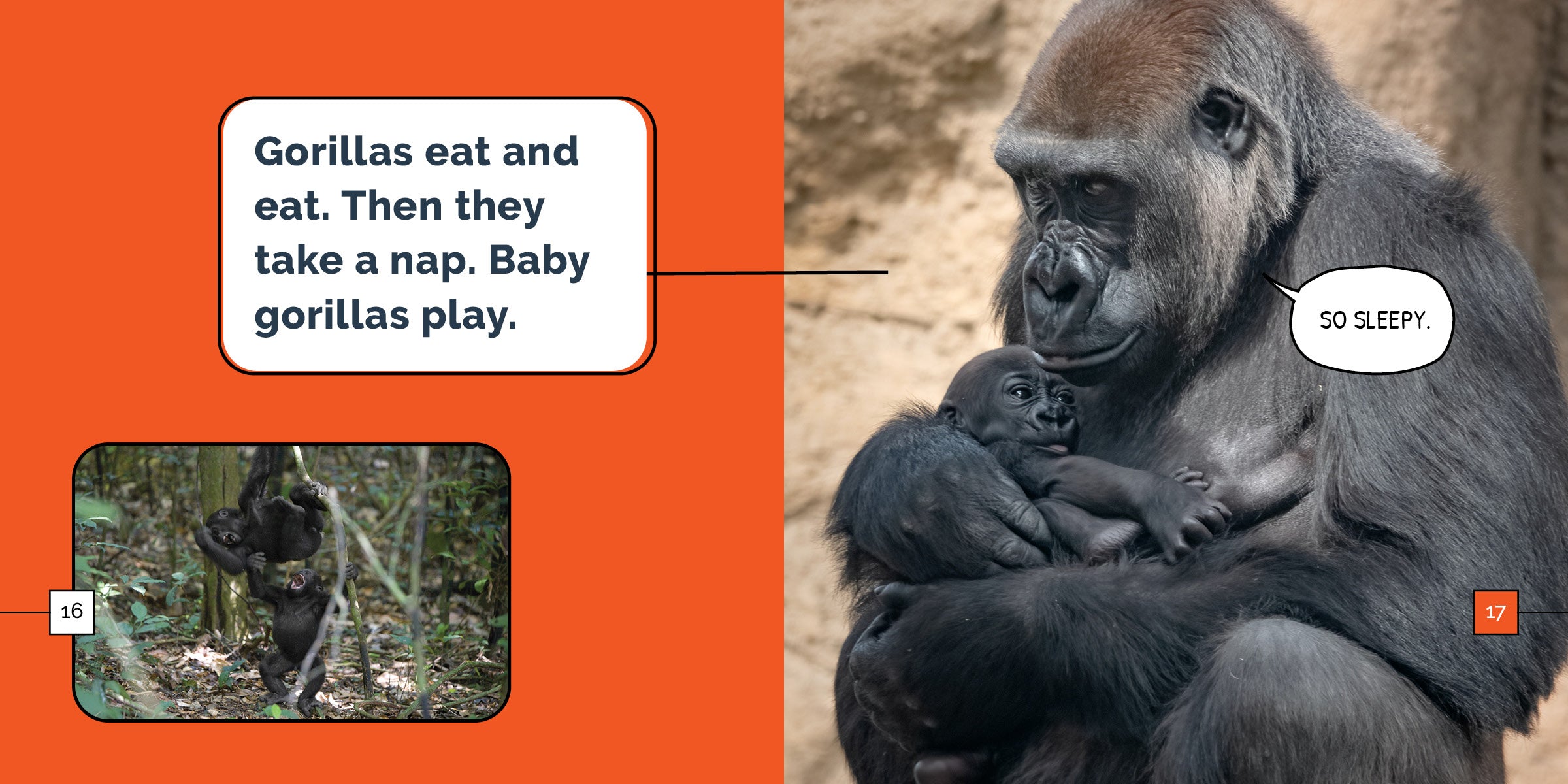 Gorillas Book 9781640268425 - Wildlife Education & Conservation Guide for Animal Lovers & Students