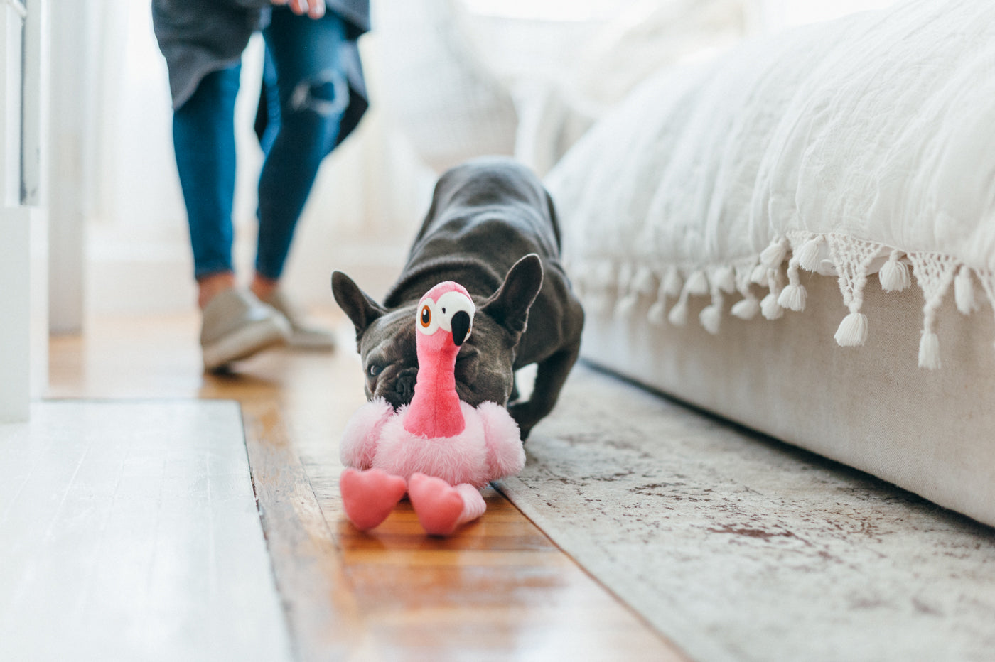Flora the Flamingo Plush Dog Toy - Soft & Durable Fetching Flock™ Chew Toy for Small & Medium Dogs | Perfect for Playtime, Training & Cuddling | Pet P.L.A.Y.
