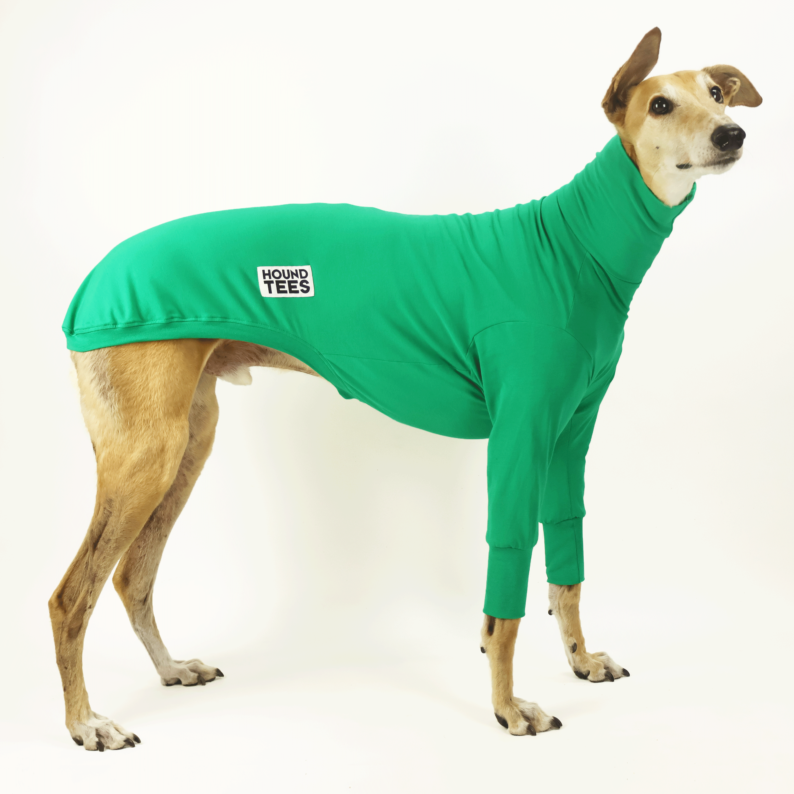 Lounge Lizard Greyhound Long Sleeve Base Layer Shirt - Men's Thermal Underwear for Cold Weather - Perfect for Hiking, Camping & Winter Sports